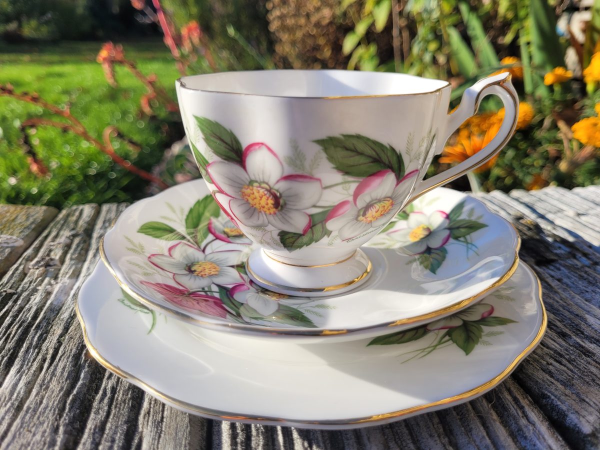 Vintage Queen Anne Fine Bone China Tea Trio – White Christmas Rose (Hellebore), Made in England (c.1960s)